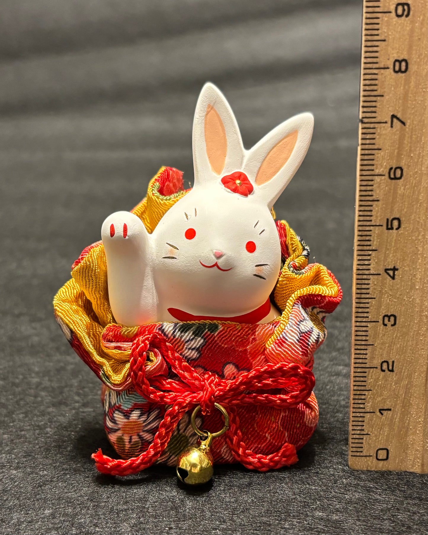 Rabbit in pocket