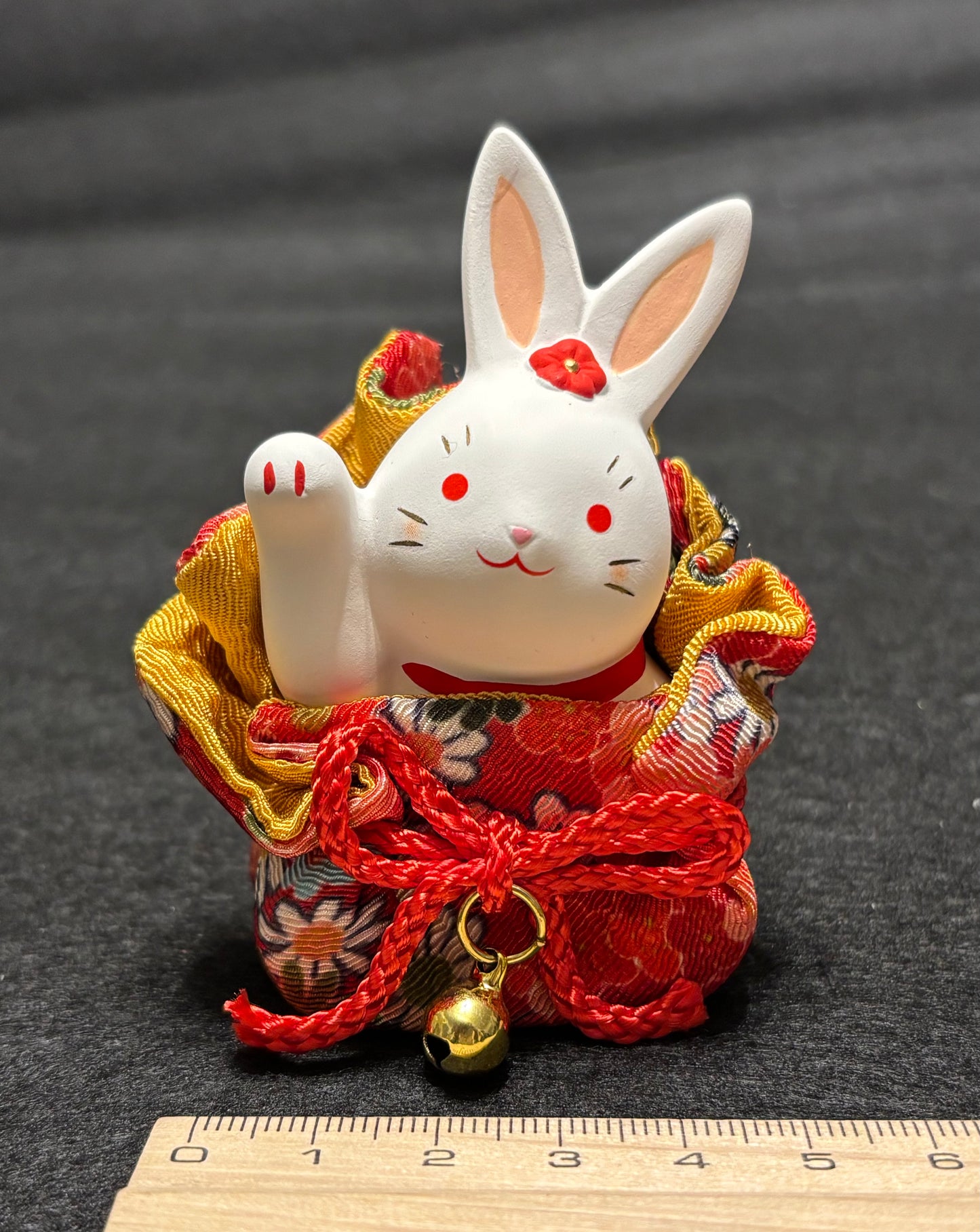 Rabbit in pocket